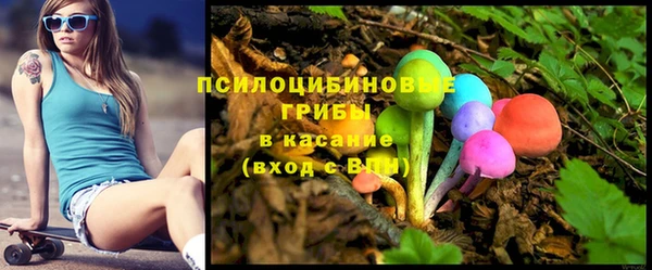 СК Куйбышев