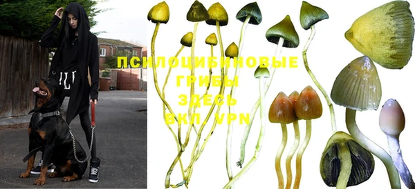 спайс Кукмор