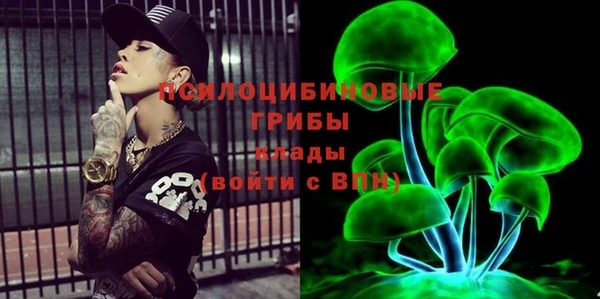 СК Куйбышев