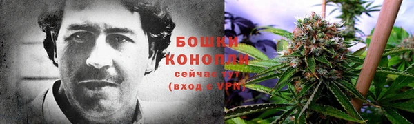 СК Куйбышев
