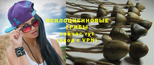 СК Куйбышев