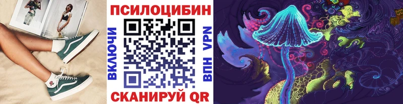 Купить закладки  Курильск  Псилоцибиновые грибы мицелий 